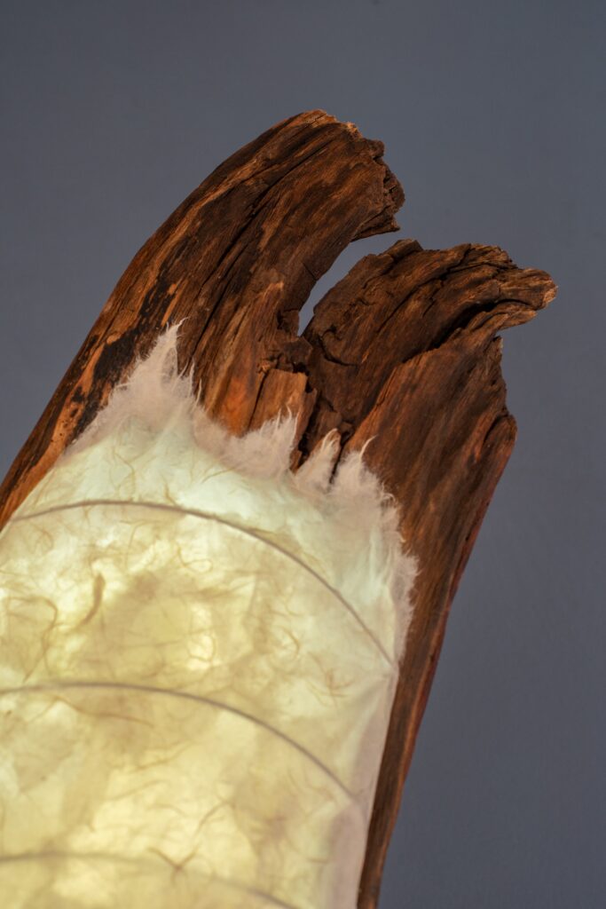 Lampa Movar